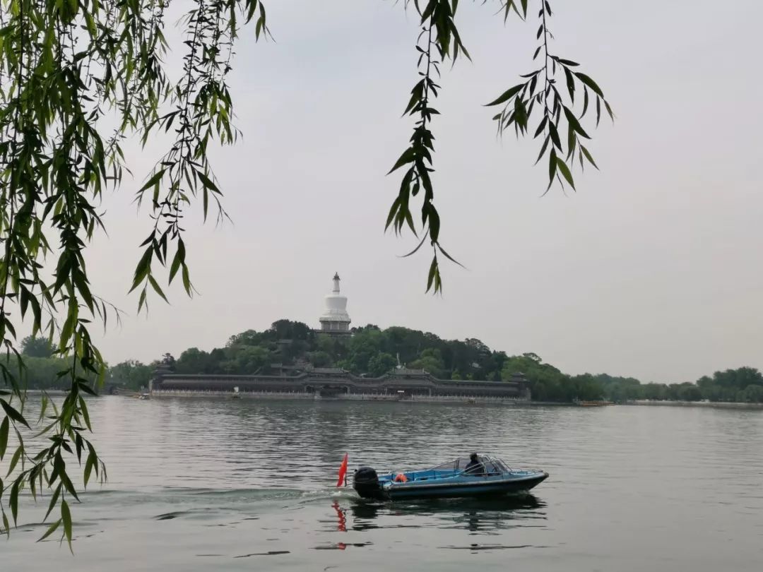 贫穷大龄女青年的2年新西兰留学移民路--幼教