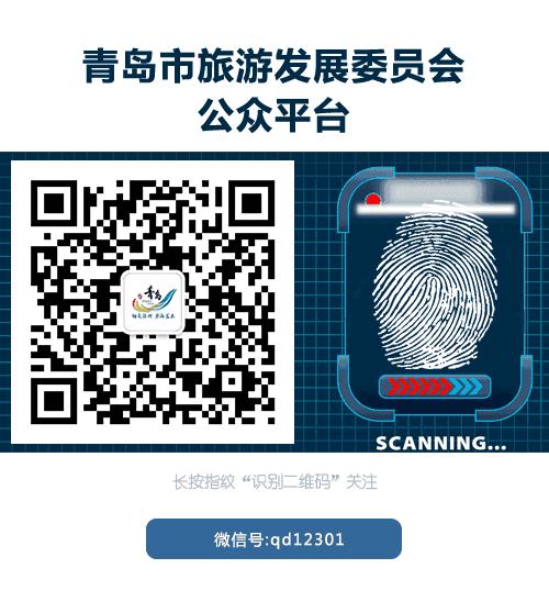 邮轮旅游环游体验,邮轮多国旅游线路