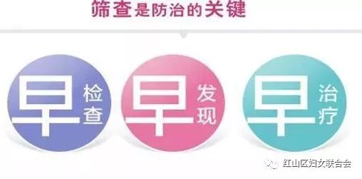 防治两癌，绽放美丽