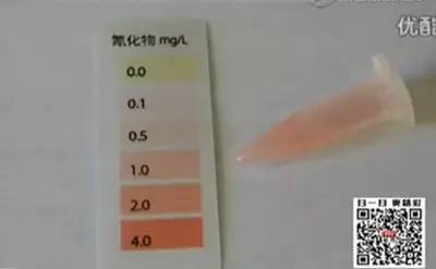 一女子吃樱桃中毒,女人吃樱桃中毒后续