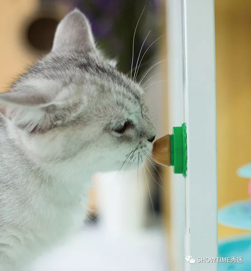 噬元兽危险高吗,噬元兽吞了会咋样