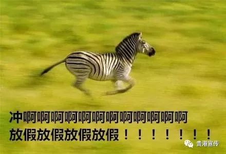 休闲运动打卡好去处,休闲时尚打卡地