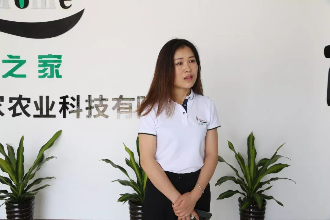 青梅车间,荔波青梅精