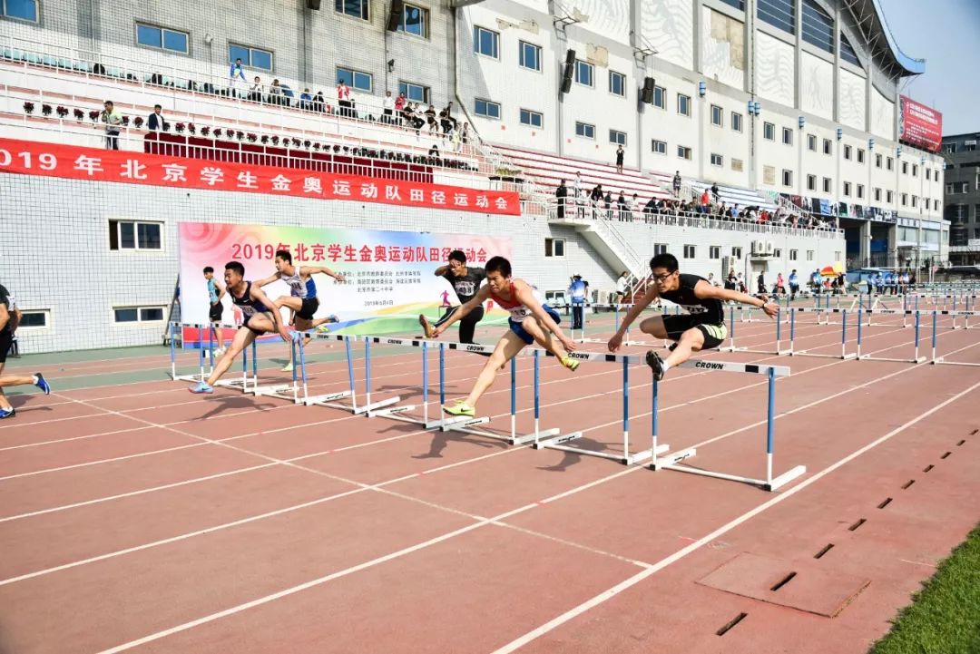 海淀区运动员夺冠,金奥喜报