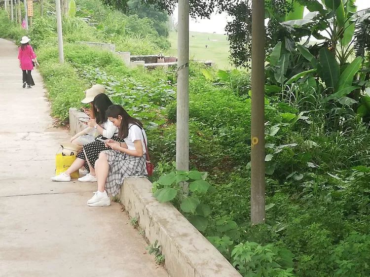 肇庆砚洲岛游记,肇庆自驾一日游砚洲岛