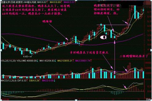 老鸭头上涨最佳买点,千金难买老鸭头