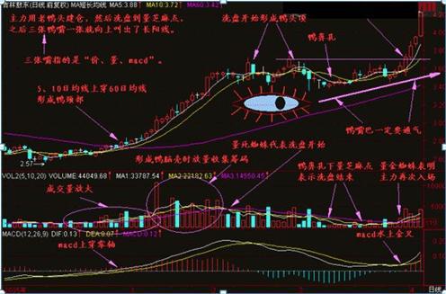 老鸭头上涨最佳买点,千金难买老鸭头