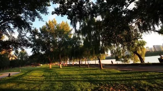 长白岛区域,长白岛近期规划