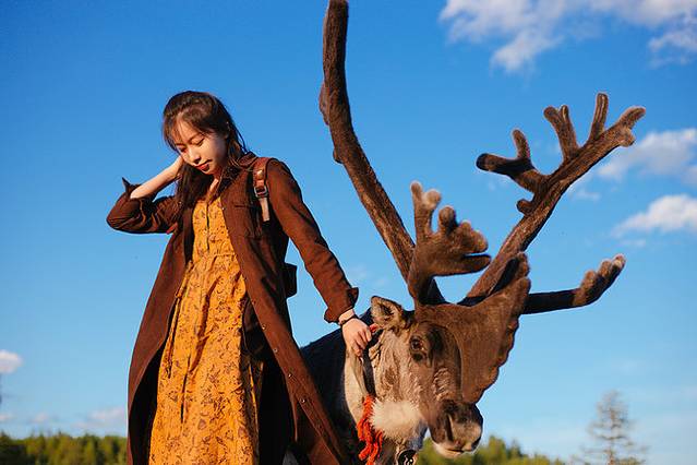 十月呼伦贝尔草原旅游攻略,自由行呼伦贝尔草原攻略