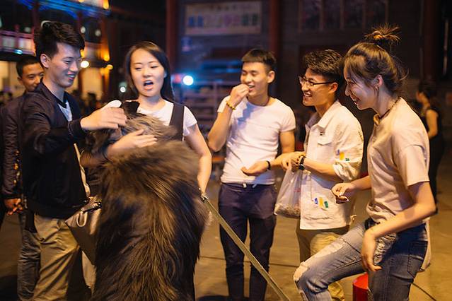 十月呼伦贝尔草原旅游攻略,自由行呼伦贝尔草原攻略