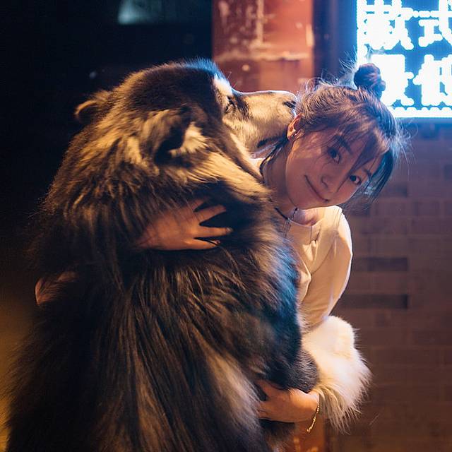 十月呼伦贝尔草原旅游攻略,自由行呼伦贝尔草原攻略