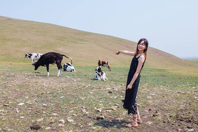 十月呼伦贝尔草原旅游攻略,自由行呼伦贝尔草原攻略