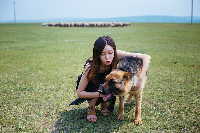 十月呼伦贝尔草原旅游攻略,自由行呼伦贝尔草原攻略