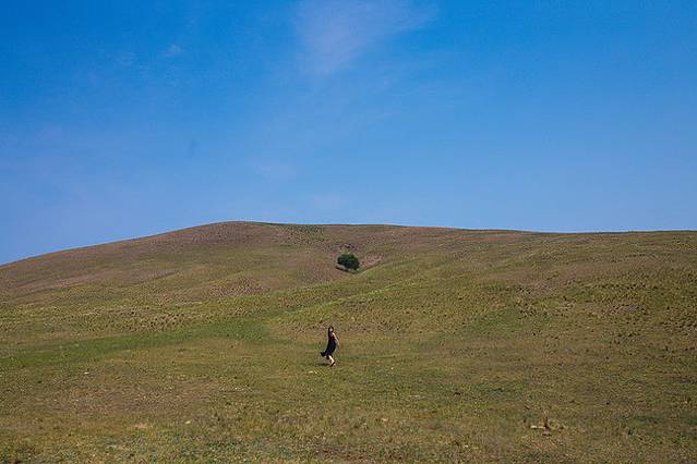 十月呼伦贝尔草原旅游攻略,自由行呼伦贝尔草原攻略