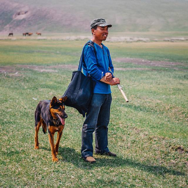 十月呼伦贝尔草原旅游攻略,自由行呼伦贝尔草原攻略
