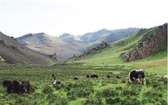 探访包忽图寻踪湟水源（中）