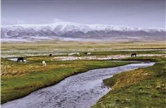 探访包忽图寻踪湟水源（中）