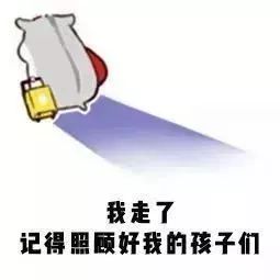 苍蝇落在食物上,小苍蝇飞过的食物还能吃吗