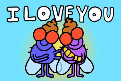 苍蝇落到食物上怎么解决,苍蝇飞在食物上干了些什么