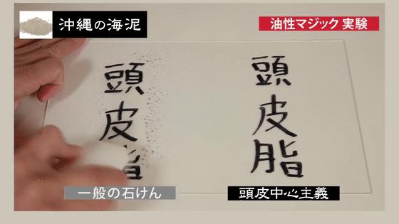 针对油脂性头屑的皂,去头皮屑黑皂