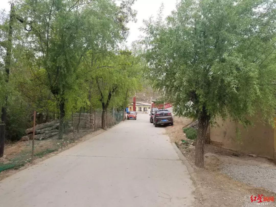 后脑勺头盖骨被打破，*体下**肿成两个拳头大！14岁少年竟被同学活活打死了