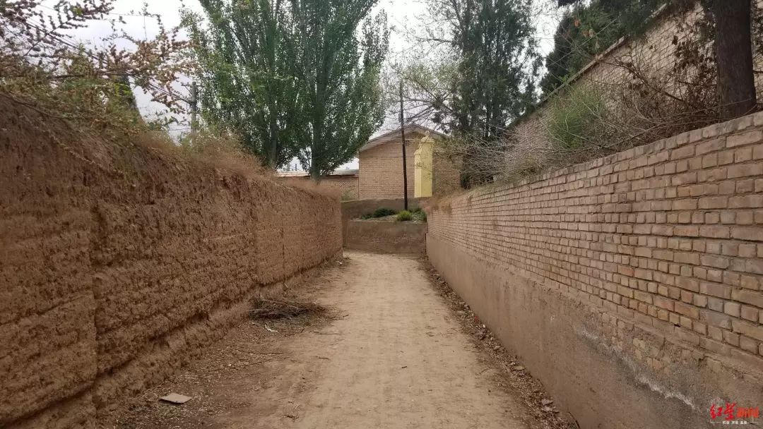 后脑勺头盖骨被打破，*体下**肿成两个拳头大！14岁少年竟被同学活活打死了