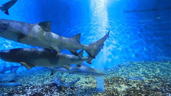 六一儿童节游玩玩些什么,六一玩乐全攻略