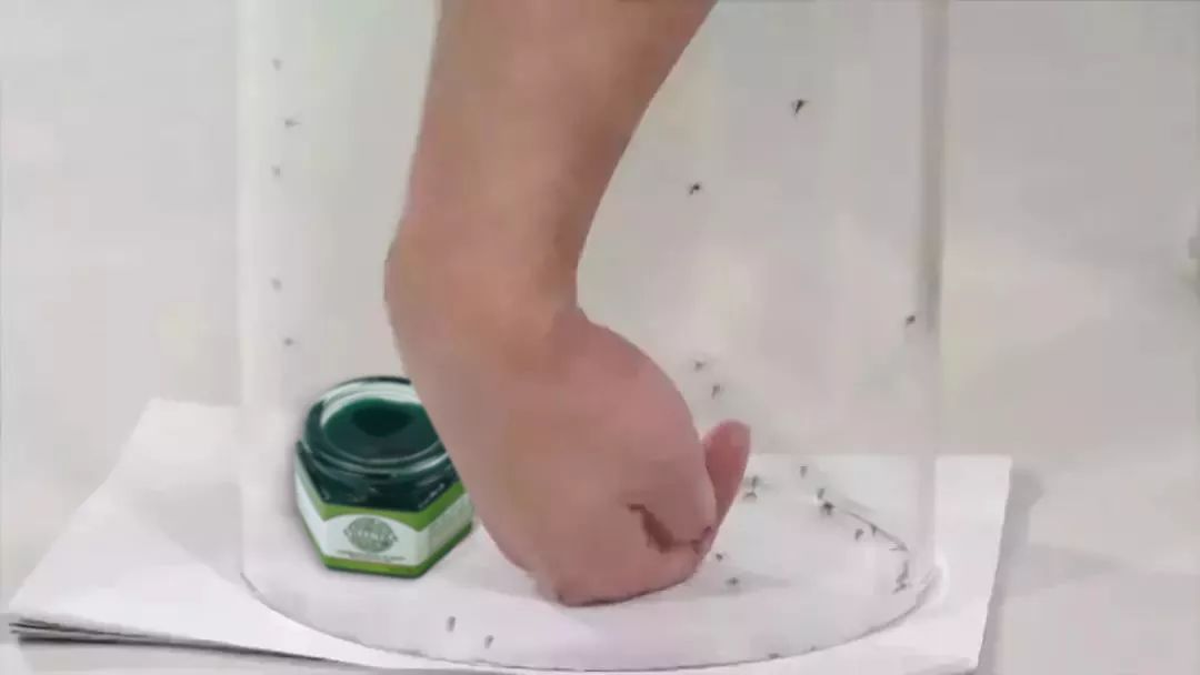 泰国驱蚊青草膏,驱蚊神器第一名青草膏