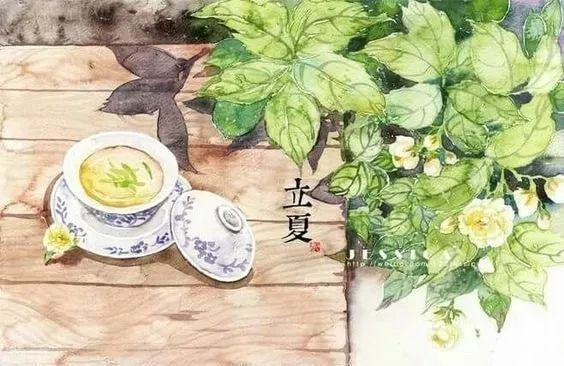 今日立夏愿我们都如夏花般绚烂,今日立夏愿我生如夏花