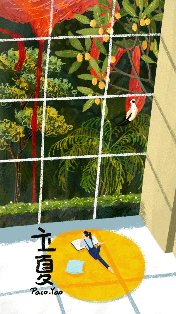 今日立夏愿我们都如夏花般绚烂,今日立夏愿我生如夏花