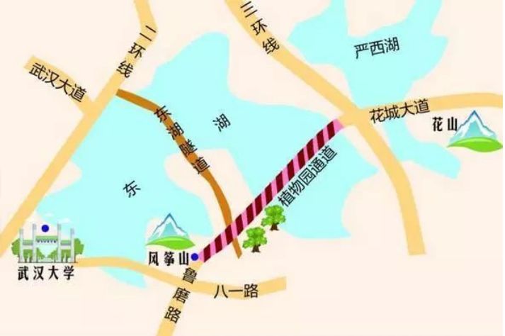 光谷花山乐鸣中学,花山华中科技大学附属中小学