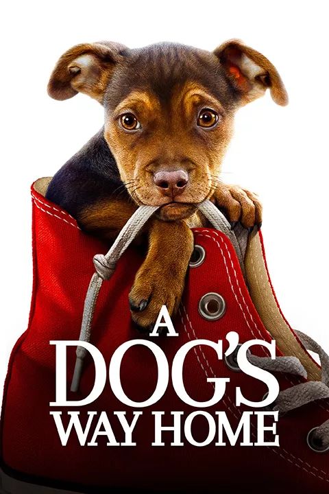 飞机上各种你不知道的秘密,飞机上有哪些不为人知道的秘密