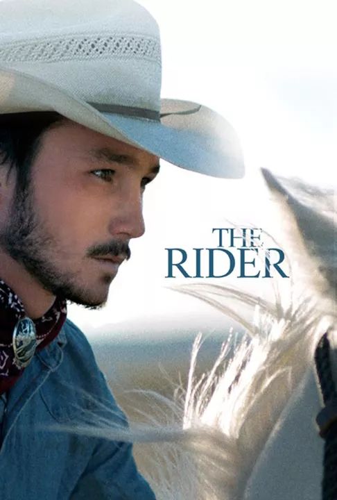 飞机上各种你不知道的秘密,飞机上有哪些不为人知道的秘密