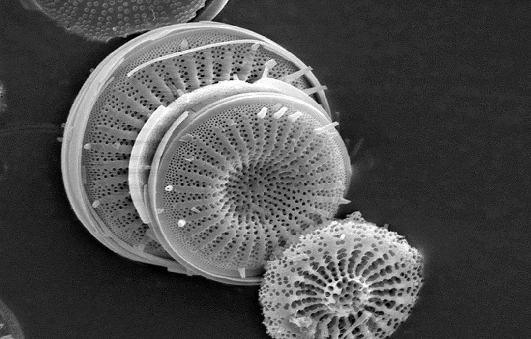 时尚地垫瞬间吸水,神奇的吸水地垫