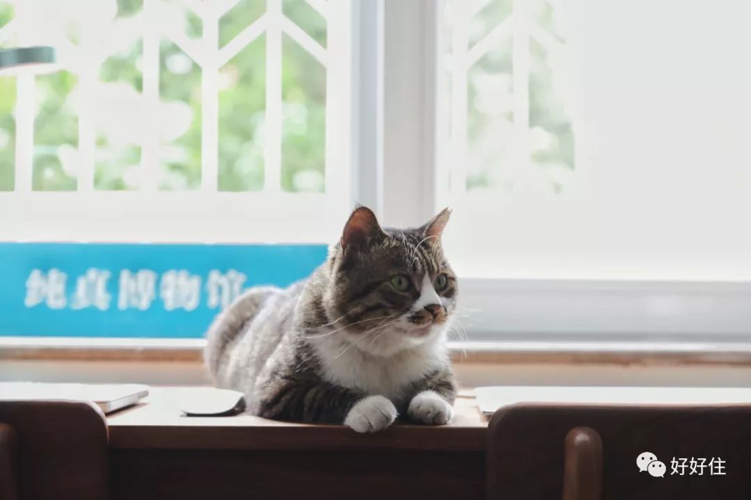 50间家具店铺推荐,精品家居家纺家电店