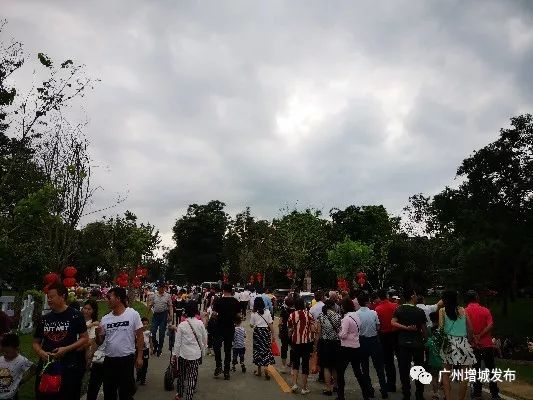 增城最火爆网红景点,增城客流量