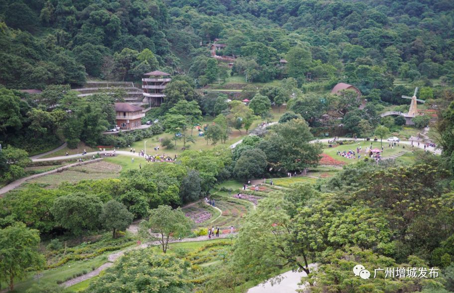 增城最火爆网红景点,增城客流量