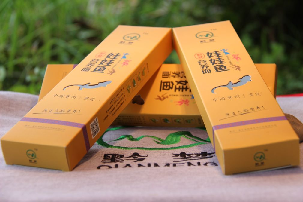 特色养殖业娃娃鱼,娃娃鱼养殖脱贫