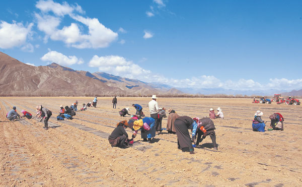 原来你是这样“富有”的*藏西**