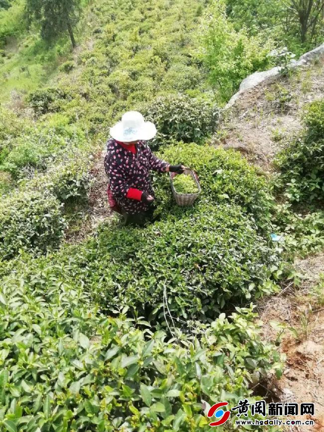 红安天台山景区绿水青山视频,成都天台山绿水青山