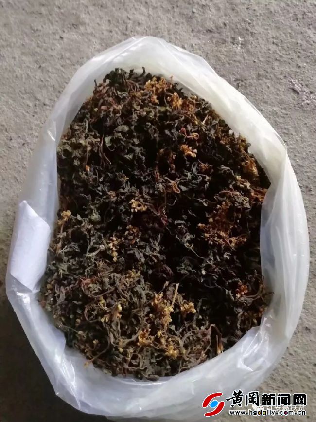 红安天台山景区绿水青山视频,成都天台山绿水青山