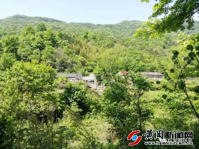 红安天台山景区绿水青山视频,成都天台山绿水青山