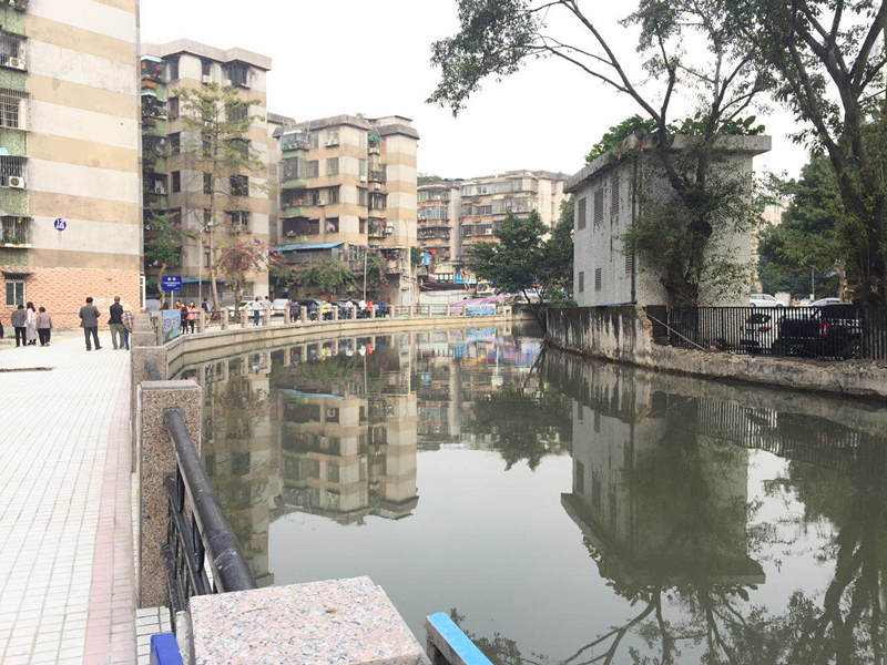 番禺治污不力局长被免职,广州河涌整治问责