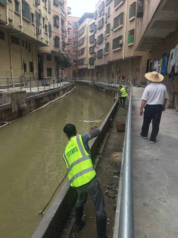 番禺治污不力局长被免职,广州河涌整治问责