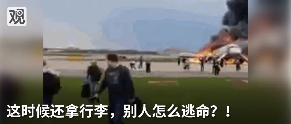 最近过半中国人都在噗噗噗呸呸，一开门，心里飘过一万头羊驼…