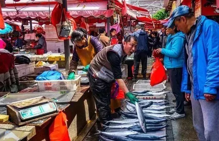 秦皇岛禁渔期还可以赶海吗,秦皇岛禁渔期在哪买海鲜