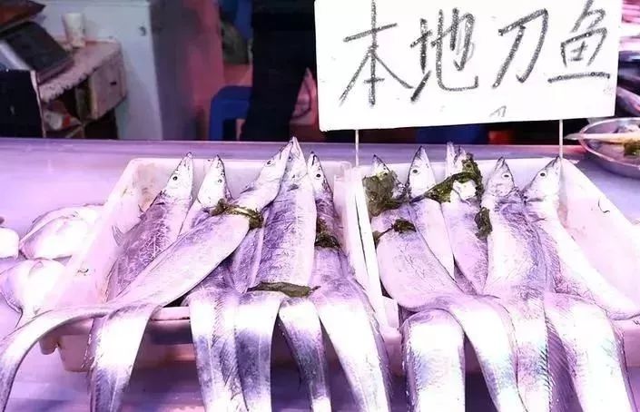 秦皇岛禁渔期还可以赶海吗,秦皇岛禁渔期在哪买海鲜