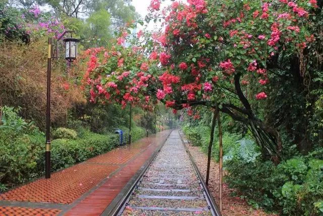 厦门人民公园最美风景照片,厦门集美杏林马銮湾环湾带状公园