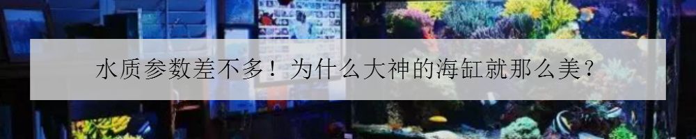 海马入缸几天喂食,海马怎么培植