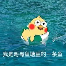 香港人以后杀鱼都要“安乐死”了？否则犯法！？